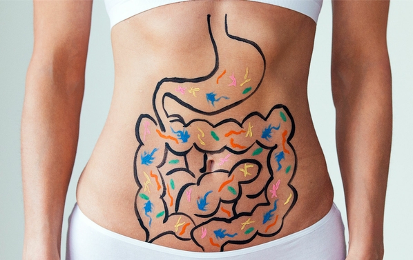 Gut Bacteria Is The Secret Key to Your Health and Happiness .
