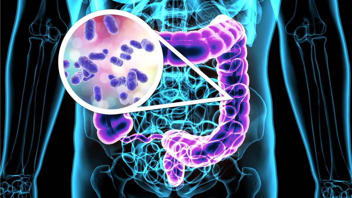 Gut Bacteria - secret key to your wellness.