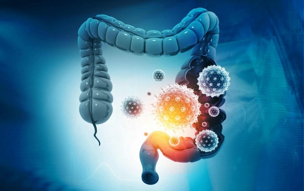 Gut Bacteria - Secret Key to Your Health and Wellness.