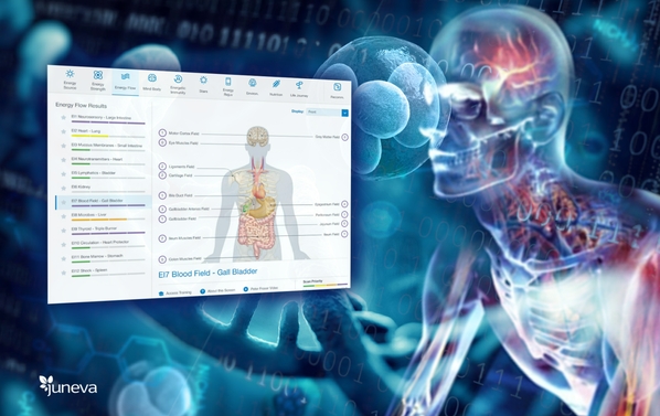 How Does a Body-Field Scan Work.