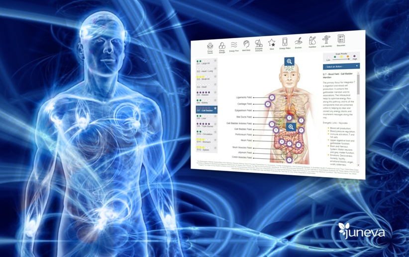 How does a NES scan work - with NES body-field scan and therapy you can improve your well being and health right from the comfort of your home.