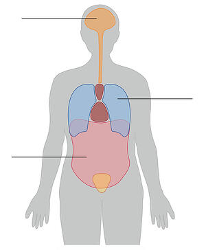 How zero-point energy affects your health - - with NES body-field scan and therapy you can improve your well being and health right from the comfort of your home.