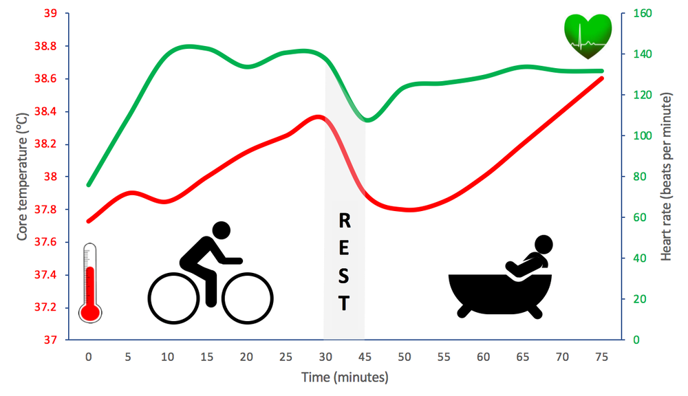 How a hot bath delivers some of the same effects as exercise.