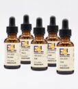 Infoceutical Set Holiday Survival - bioenergetic remedies for naturally restoring healthy mind body patterns, by removing energy blockages and correcting information distortions in the body field.
