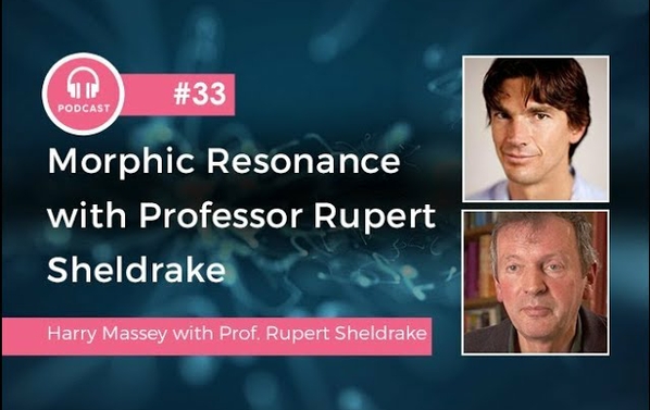 How morphic resonance influences our health - a supercharged podcast. Morphic Resonance is a foundational element in bioenergetics.