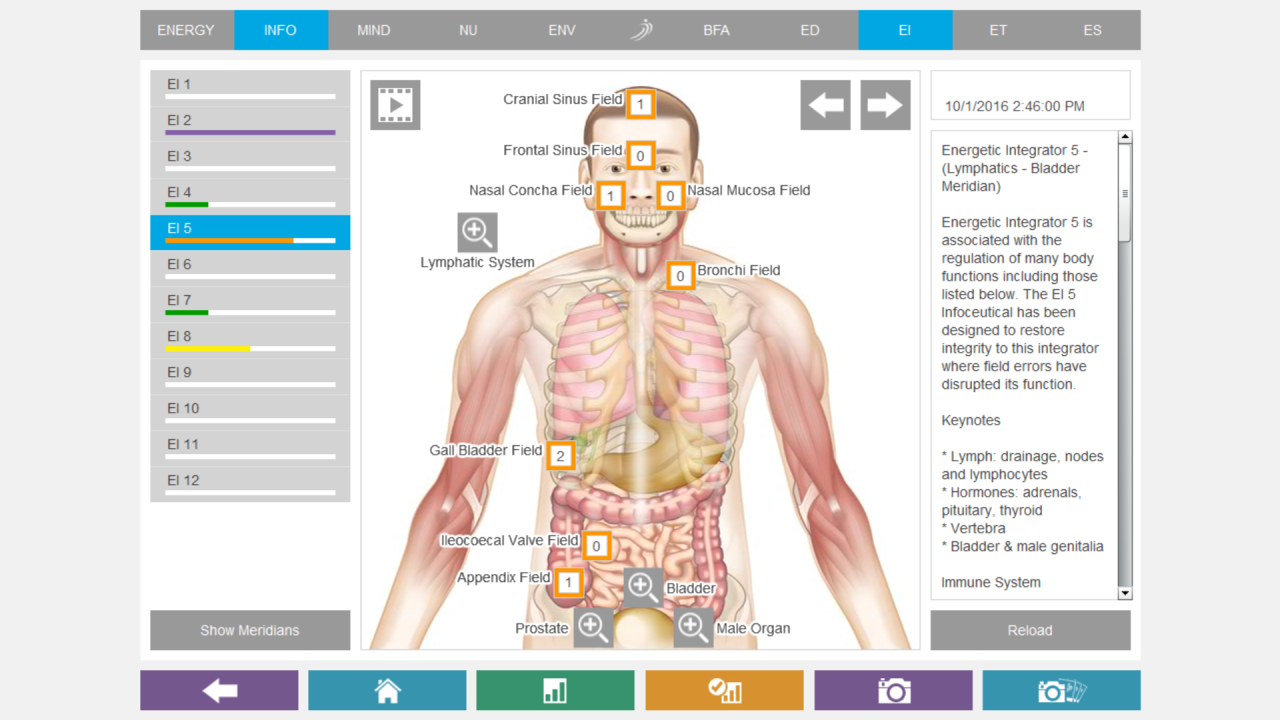 NES Health body field scan screenshot.