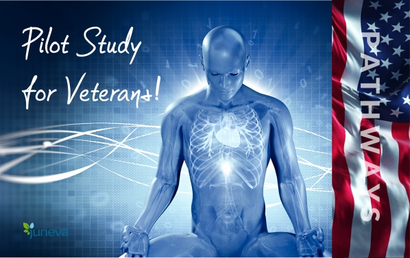 Juneva Health pilot study program for veterans to assess the efficacy of bioenergetic therapy modalities in particular with PTSD.