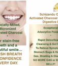 Schizandu Hardwood Activated Charcoal Powder Benefits