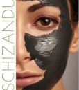 Schizandu Hardwood Activated Charcoal Powder