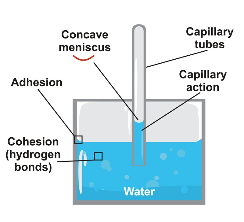 The strange science of water - the basis for NES Infoceuticals.