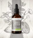 Tribal-Tranquility-Tincture-4oz Tribal-Tranquility-Tincture-4oz