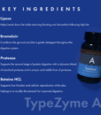 TypeZyme – Digestive Enzyme (Blood Type A)