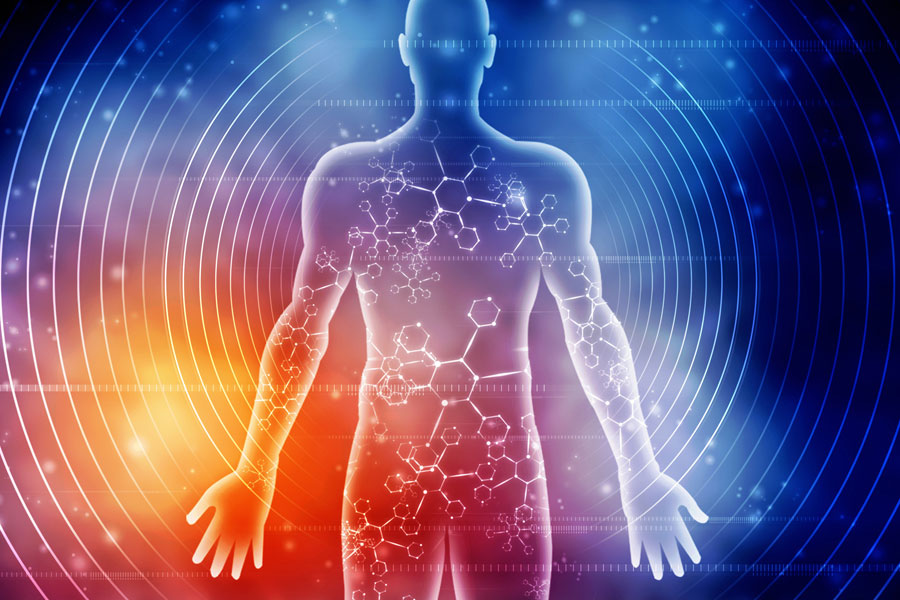 What is bioenergetics - the breakthrough hardly anyone is talking about. NES body-field scan and therapy can restore your energy and health. 