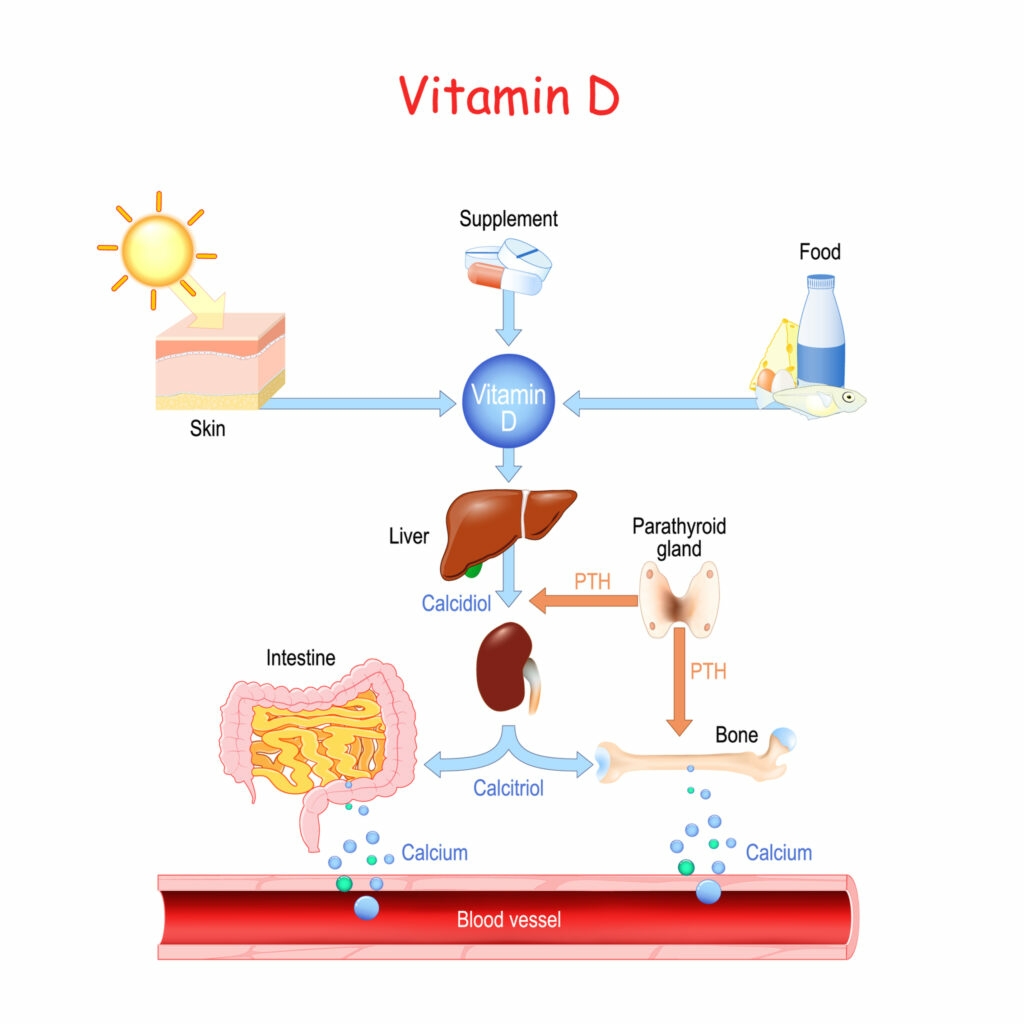 Why You Care About Vitamin D.