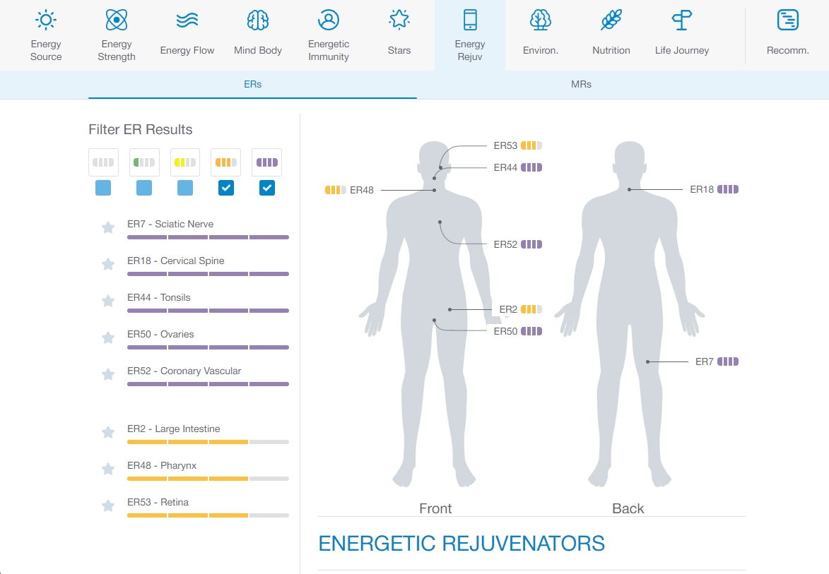 NES Body-Field Scan - Energetic Rejuvenators (ERs) screen.